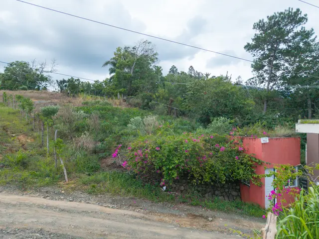 Vegetación y acceso en el entorno del terreno